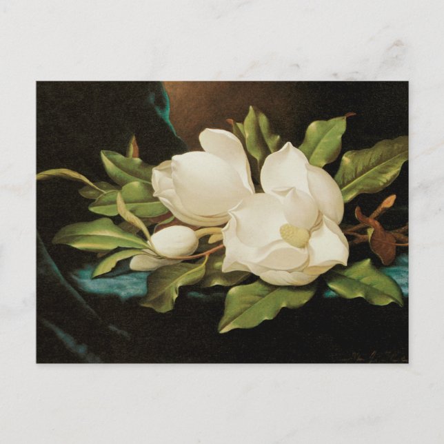 Giant Magnolias auf einem blauen Samttuch von MJ H Postkarte (Vorderseite)