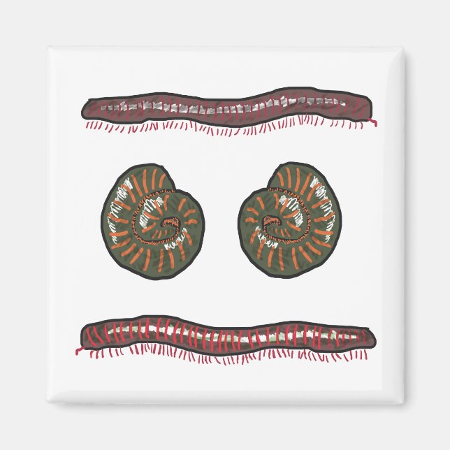 Giant Millipede Magnet (Vorne)