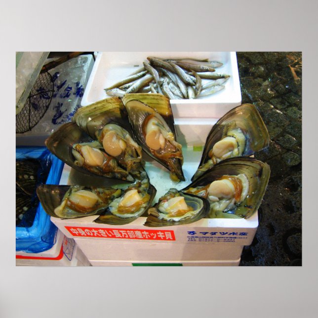 Giant Mussels Tsukiji Fish Market, Tokio, Japan Poster (Vorne)