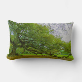 Giant Oak Tree Art Pillow Lendenkissen