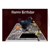 Giant Oeuf Noir Manger Rooster Carte Anniversaire
