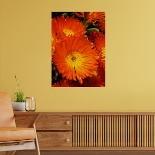 Giant Orange Daisies, Poster
