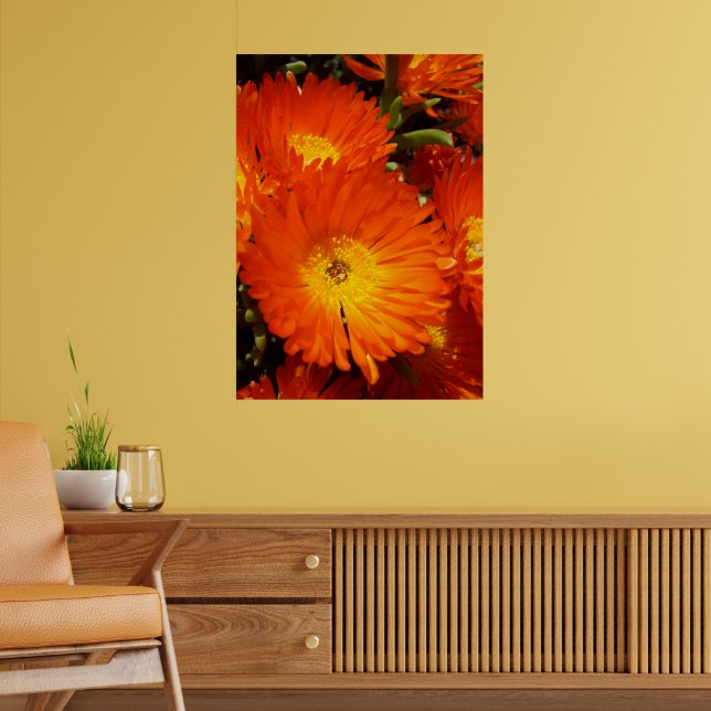 Giant Orange Daisies, Poster (Wohnzimmer 2)