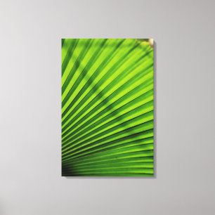 Giant Palm Leaf Pattern Leinwanddruck