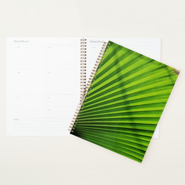 Giant Palm Leaf Pattern Planer (Anzeige)