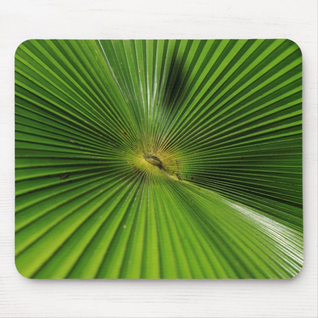 Giant Palm Leaf, Queensland Mousepad (Vorne)