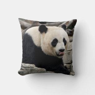 Giant Panda auf Steinen Kissen