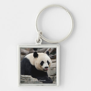 Giant Panda auf Steinen Schlüsselanhänger