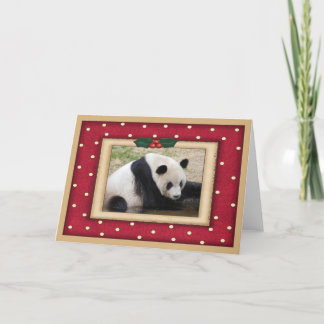 Giant Panda Bear Weihnachtskarte Feiertagskarte