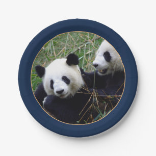Giant Panda Bears Eating Bamboo (Party) Papiertafe Pappteller