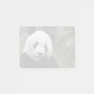 Giant Panda Bei bei im Nationalpark Post-it Klebezettel