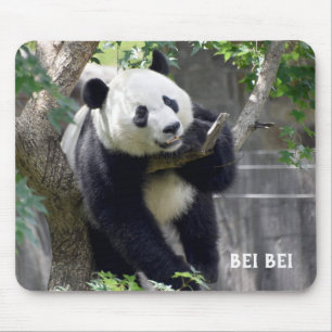 Giant Panda Bei Mousepad