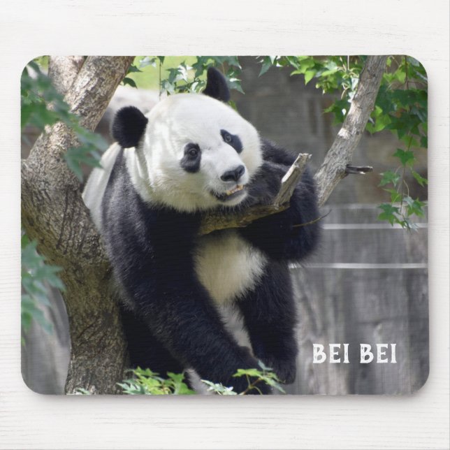 Giant Panda Bei Mousepad (Vorne)