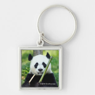 Giant Panda Holding Bamboo Schlüsselanhänger