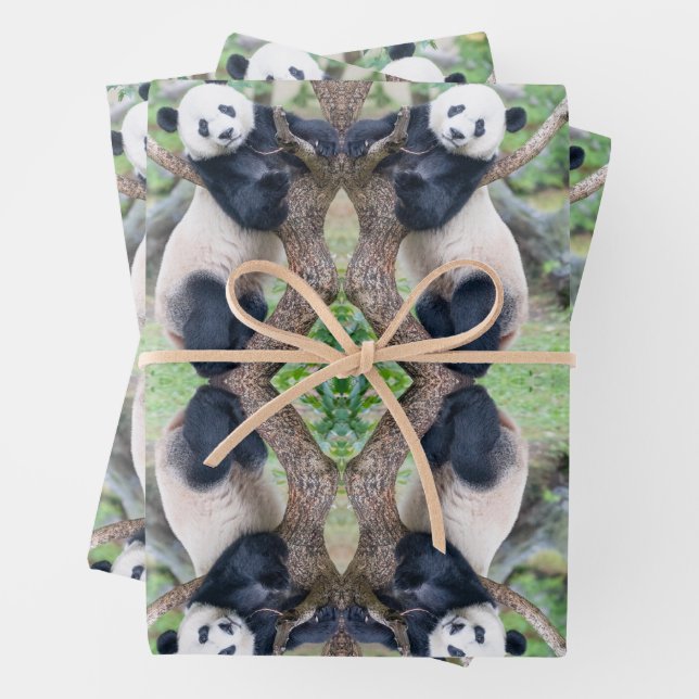 Giant Panda in einem Baumhüpfpapier Geschenkpapier Set (Beispiel)