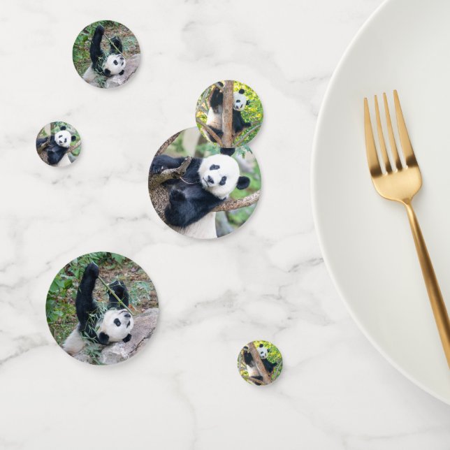 Giant Panda Pics Confetti Konfetti (Gruppe)