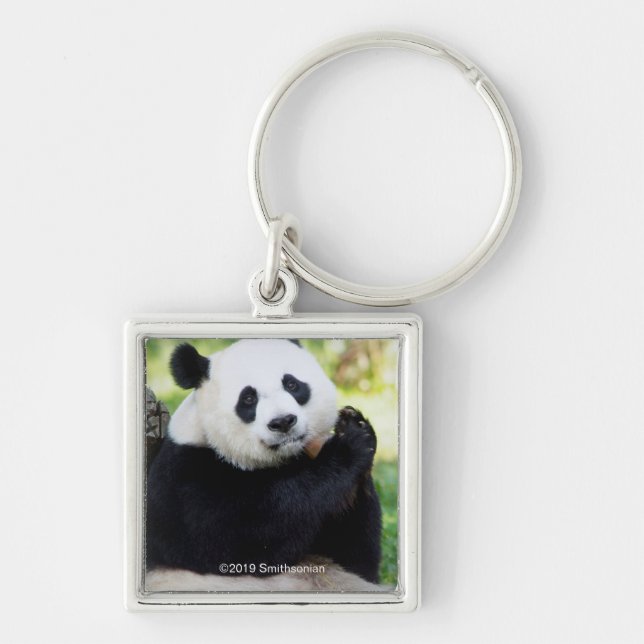 Giant Panda Sitting Schlüsselanhänger (Vorne)
