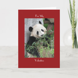 Giant Panda Valentine's Day Red Cuddle and Hugs Feiertagskarte