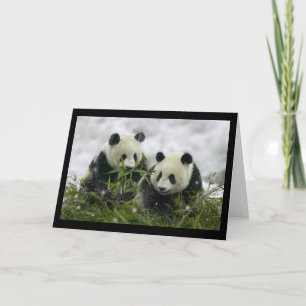 Giant Pandas Feiertagskarte