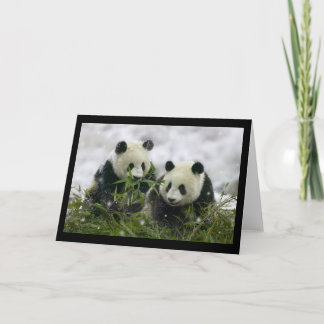 Giant Pandas Feiertagskarte