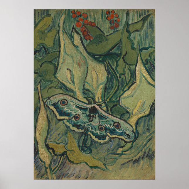 Giant Peacock Moth (1889) von Vincent van Gogh Poster (Vorne)