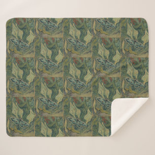 Giant Peacock Moth (1889) von Vincent van Gogh Sherpadecke