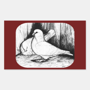 Giant Runt Pigeons Rechteckiger Aufkleber