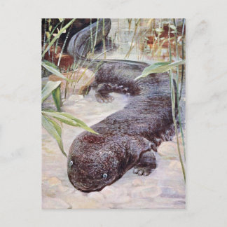 Giant Salamander Art Postkarte