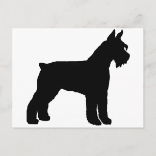 Giant Schnauzer (schwarz) Postkarte