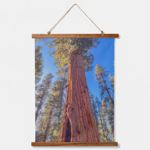 Giant Sequoia im Wald Wandteppich Mit Holzrahmen