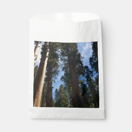 Giant Sequoia Sky View Geschenktütchen