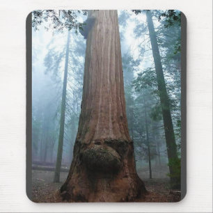 Giant Sequoia Tree in Grant Grove, CA Mousepad