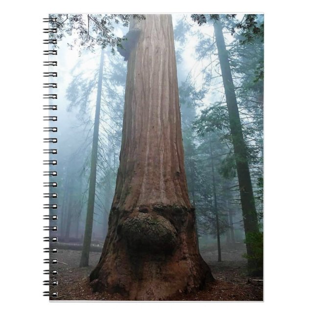 Giant Sequoia Tree in Grant Grove, CA Notizblock (Vorderseite)