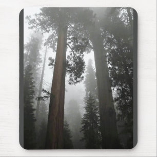 Giant Sequoia Trees in the Fog, CA Mousepad