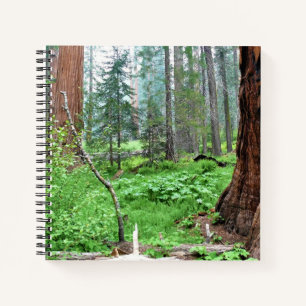 Giant Sequoias in Grant Grove, CA Notizbuch