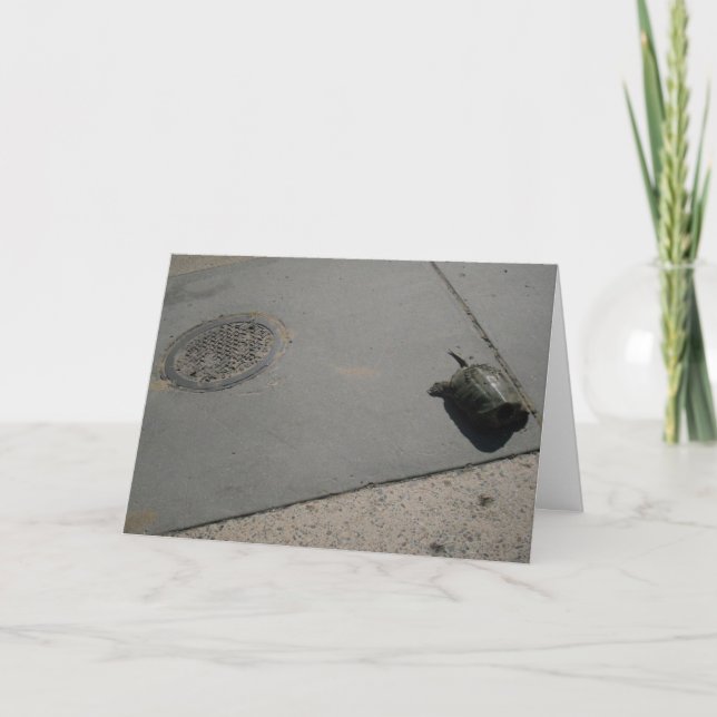 "Giant Snapping Turtle & Storm Sewer" Geburtstag Karte (Vorderseite)