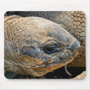 GIANT TORTOISE MOUSEPAD