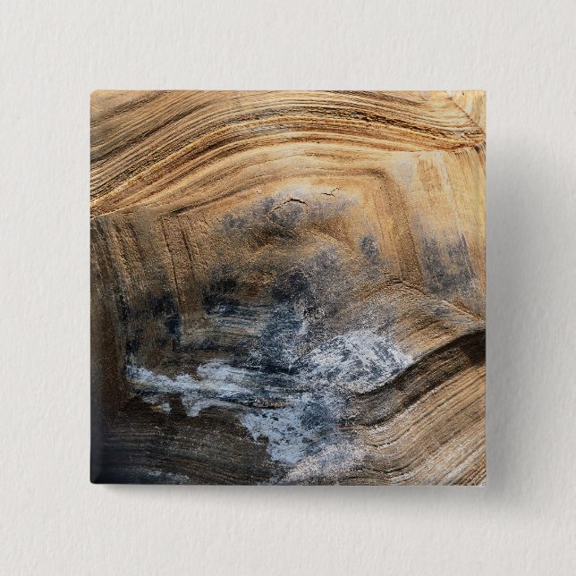 GIANT TORTOISE MUSCHEL BUTTON (Vorderseite)