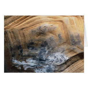 GIANT TORTOISE MUSCHEL GREETINGS CARD