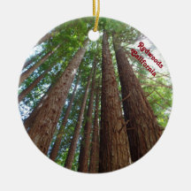 Giantic Rotholz-Baum-staatlicher Wald Kalifornien