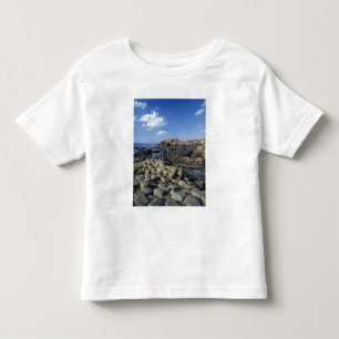 Giants Causeway, County Antrim, Nordirland Kleinkind T-shirt
