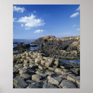 Giants Causeway, County Antrim, Nordirland Poster