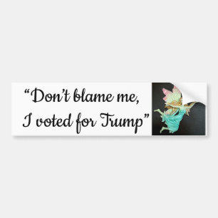 "Gib mir keine Schuld, ich habe für Trump gestimm Autoaufkleber