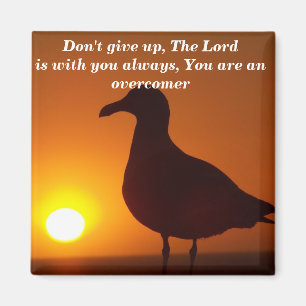 Gib nicht auf!_ magnet