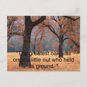 Gib nicht auf postkarte