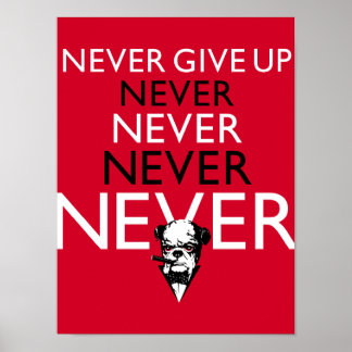 Gib nie auf! poster