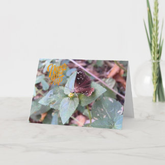 Gib niemals die blanke Schmetterlingsgrusskarte au Karte