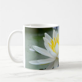 Gib niemals die Wasserlilie auf Kaffeetasse