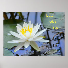 Gib niemals die Wasserlilie auf Poster