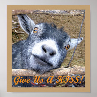Gib uns einen Kuss! Poster